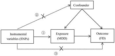 Causality between major depressive disorder and functional dyspepsia: a two-sample Mendelian randomization study